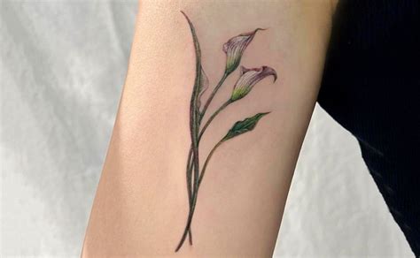 Simbolismo e stili dei tatuaggi Calla Lily 